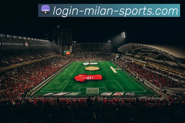 多媒体互动体验